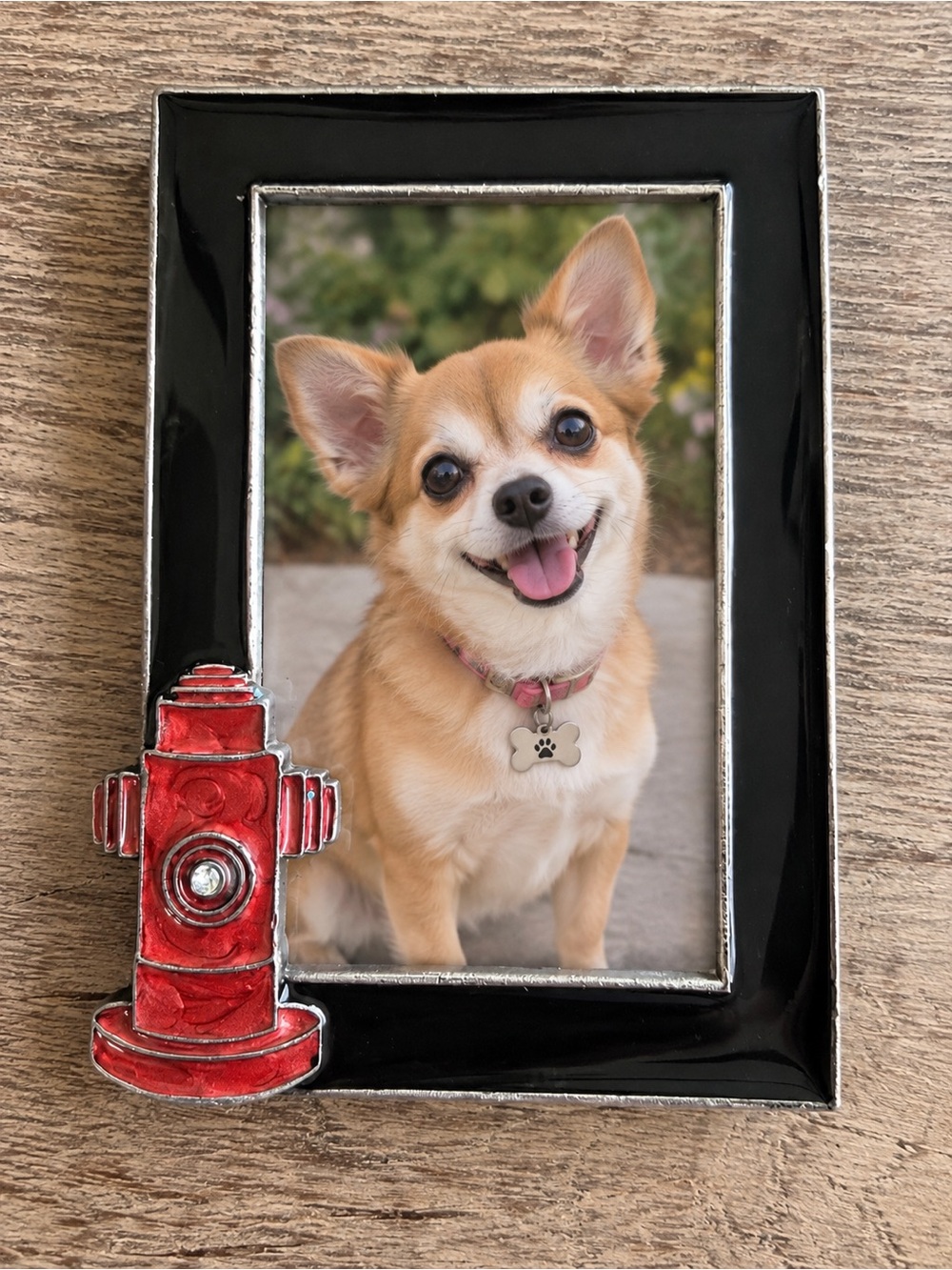 Black and Red Enamel Picture Frame with Fire Hydrant Accent pet display